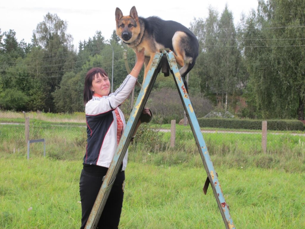 Autors: Inga Karpova