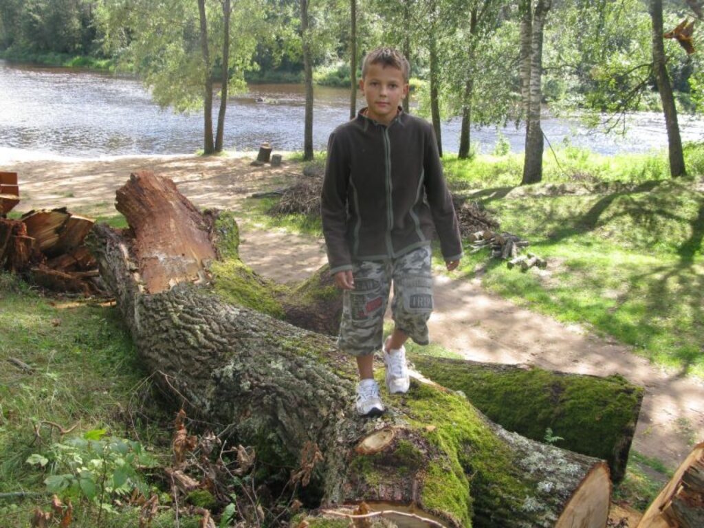 Zemē gulošais stumbra fragments ir viss, kas palicis pāri no Strenču Vecā ozola. Cilvēki spriež, kādu pieminekli tam atstāt. Skolnieks Jānis Muruška iesaka stumbra atliekas aizvākt, bet vietā stādīt jaunu ozolu.
Autors: Sandra Pētersone