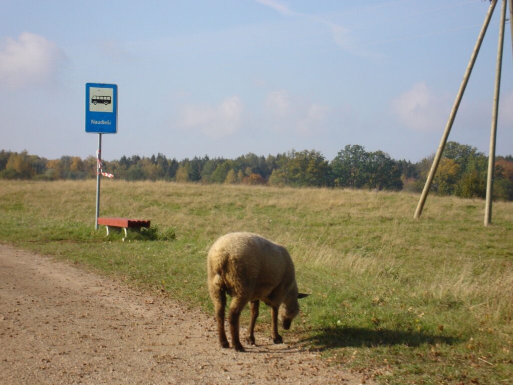 Autors: Sarmīte Ozola