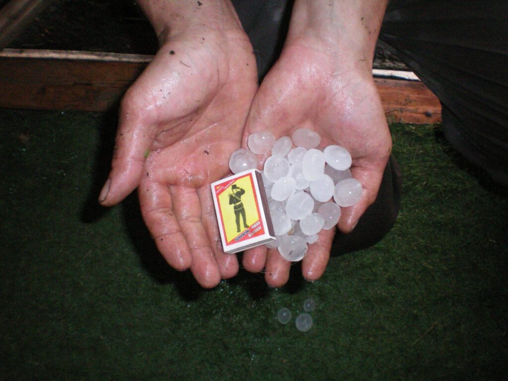 Svētdien pēcpusdienā Valkas pagastā iedzīvotājus krusa pārsteidza ar neierasti lieliem graudiem. Spilgtākie mirkļi iemūžināti fotogrāfijās.
Autors: No personīgā arhīva