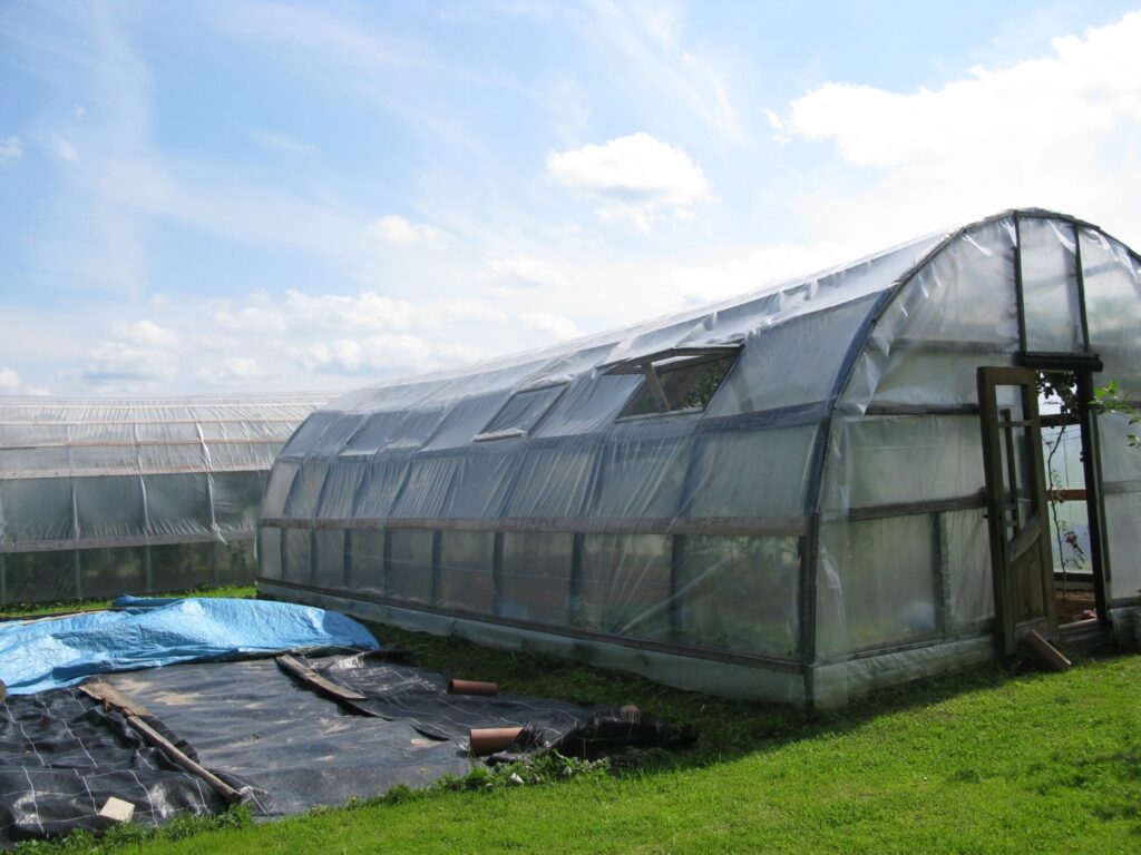 Autors: Baiba Šķērīte