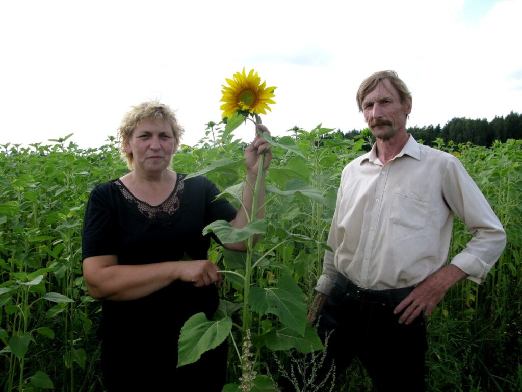 Zemnieku saimniecības “Bābēni” saimnieki Anita un Jānis Rābanti šogad  saulespuķes audzē pushektārā.
Autors: Baiba Šķērīte