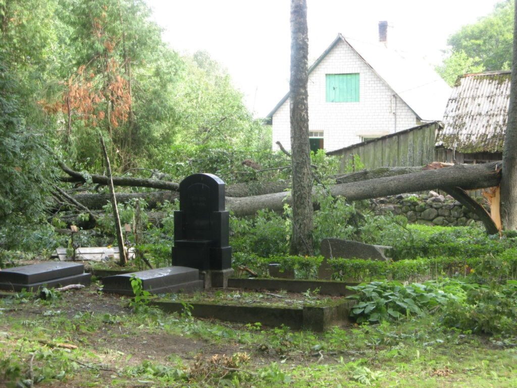 Autors: Jānis Repsons