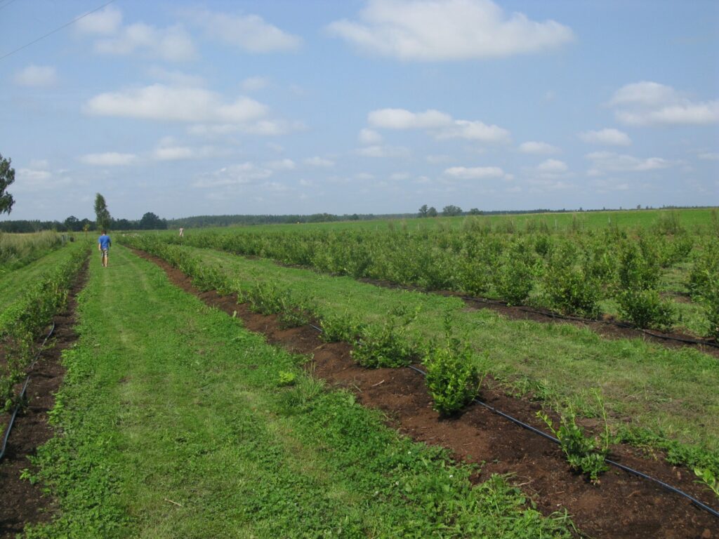 Autors: Baiba Šķērīte