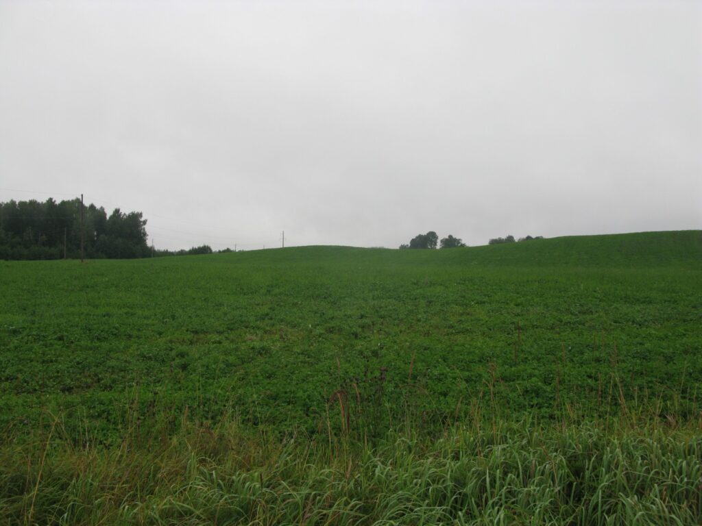 Autors: Baiba Šķērīte