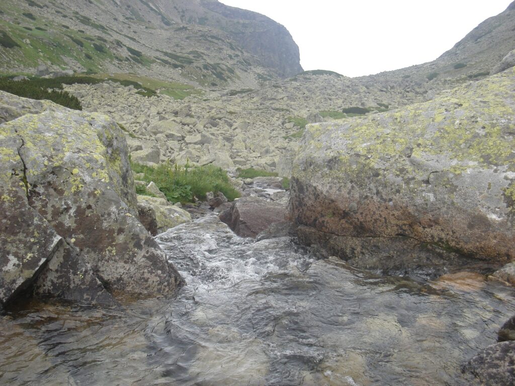 Autors: No personīgā arhīva