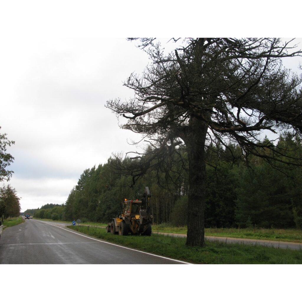 Autors: Sandra Pētersone