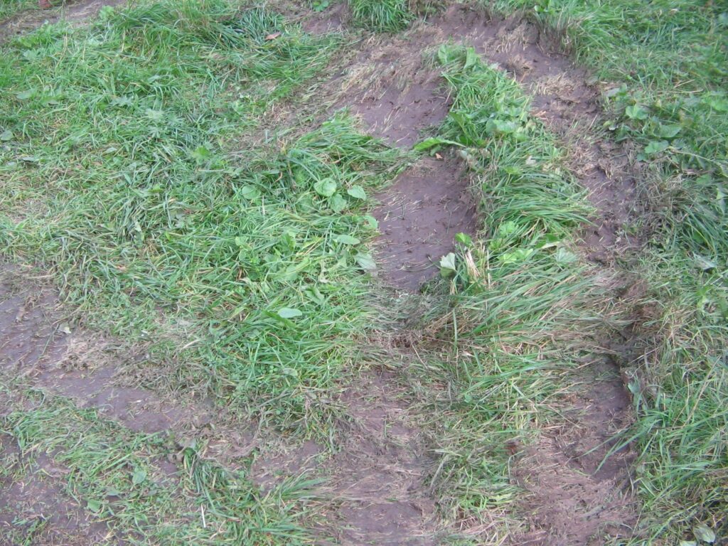 Autors: Normunds Vīksna