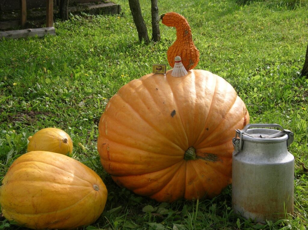 Autors: No personīgā arhīva