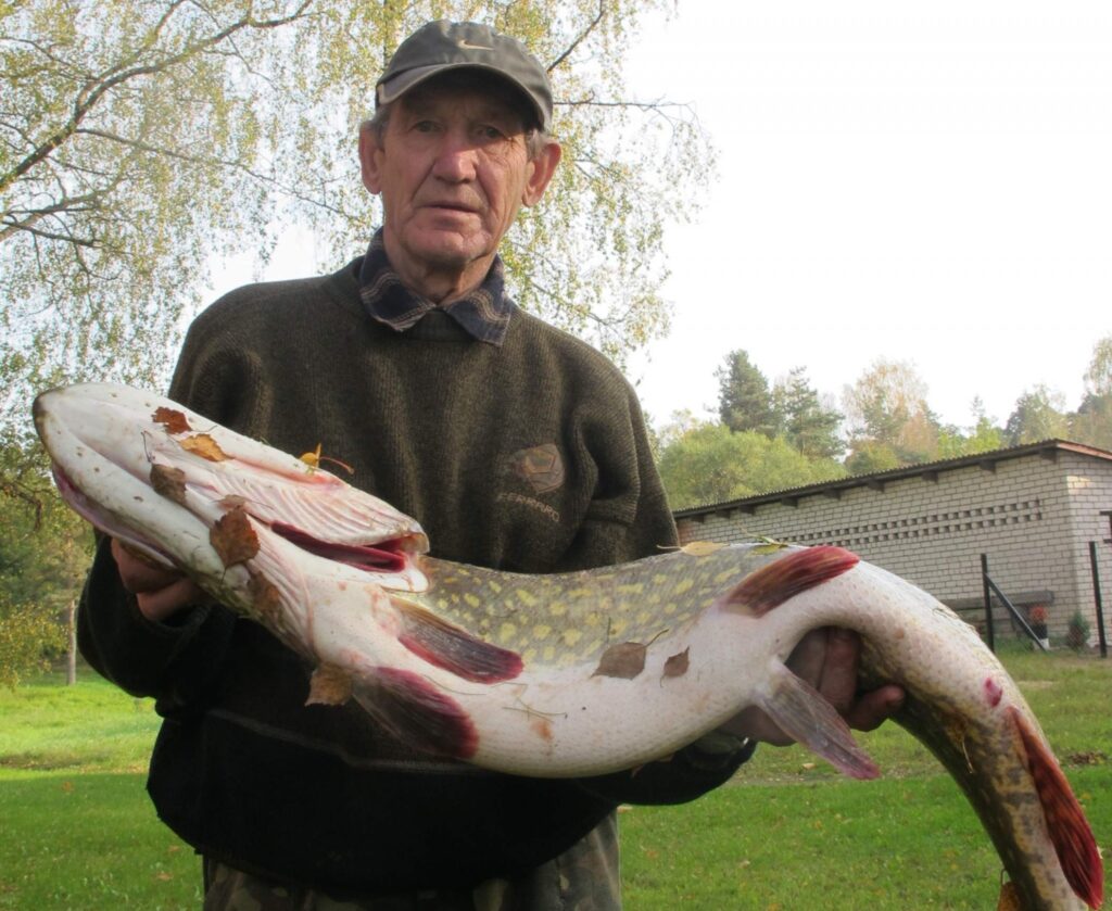 Kaislīgais makšķernieks Vladislavs Naglis no Valkas Kokšos izvilka neparasti lielu līdaku. 
Autors: Aldis Dubļāns