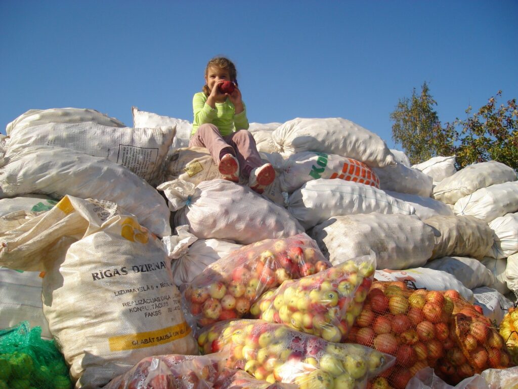 Autors: Sarmīte Ozola