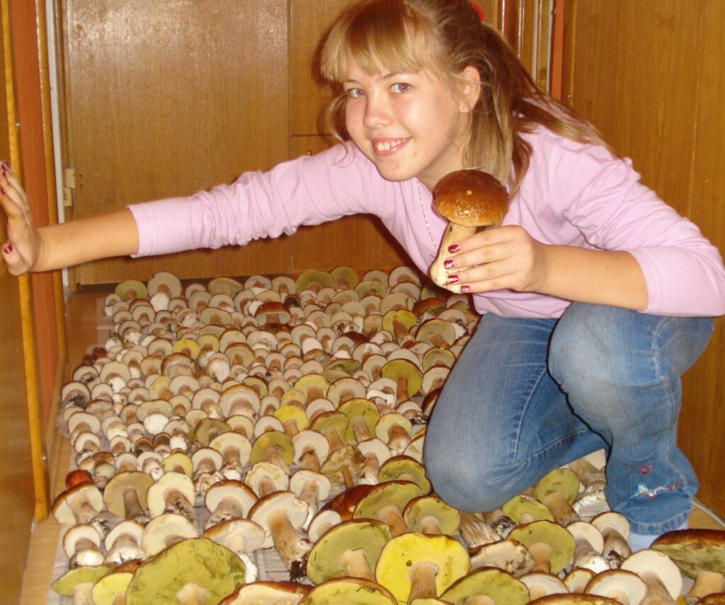 Valcēniete Beatrise Laura Kanaste kopā ar mammu Unu un vecmāmiņu stundas laikā salasījušas 314 baravikas. 
Autors: No personīgā arhīva