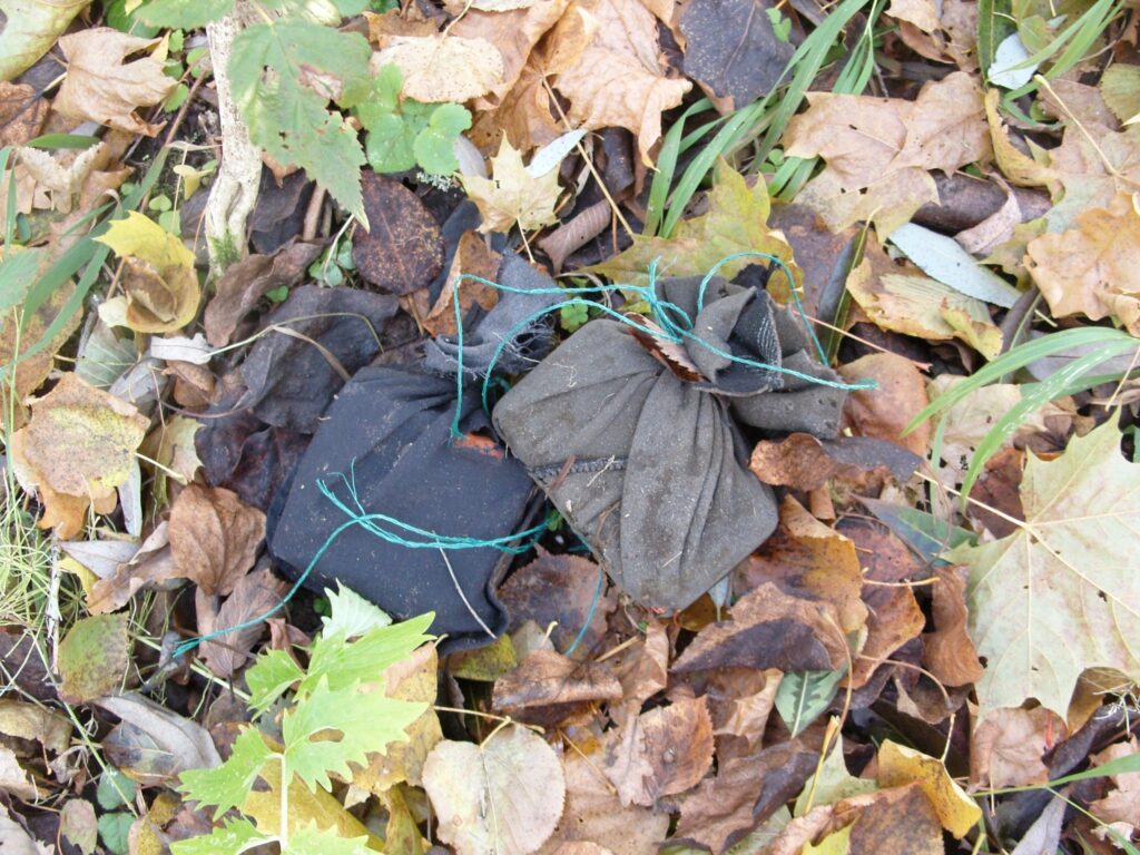 Autors: -Jānis Pērle