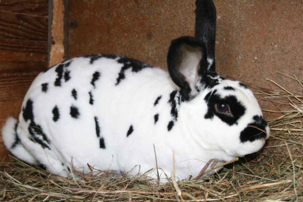 Autors: Sandra Pētersone