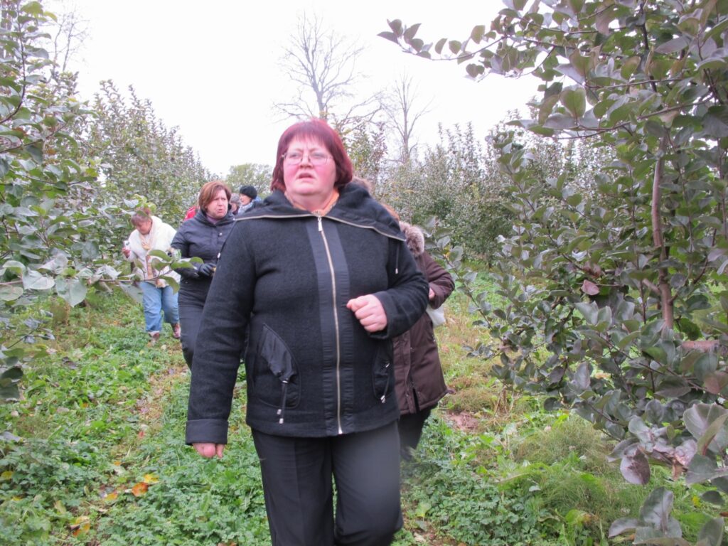 Iveta Markova savas saimniecības ābeļdārzā ļāva semināra dalībniekiem pārliecināties, cik daudz darba vajag ieguldīt kvalitatīva komercdārza izveidē.
Autors: Aivars Zilbers