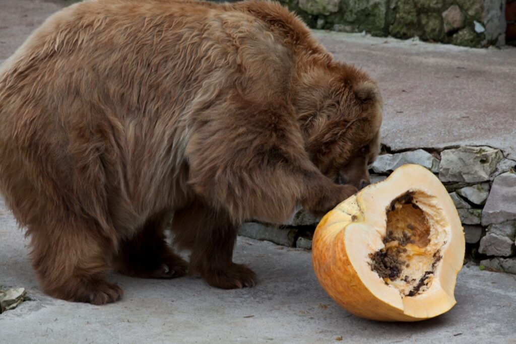 Autors: Jānis Beseris