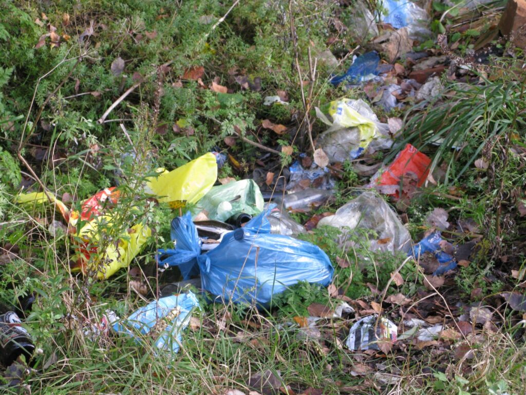 Autors: Sandra Pētersone