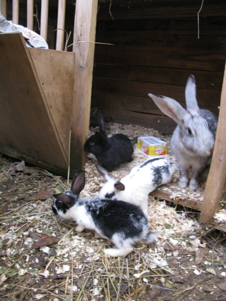 Autors: Sandra Pētersone