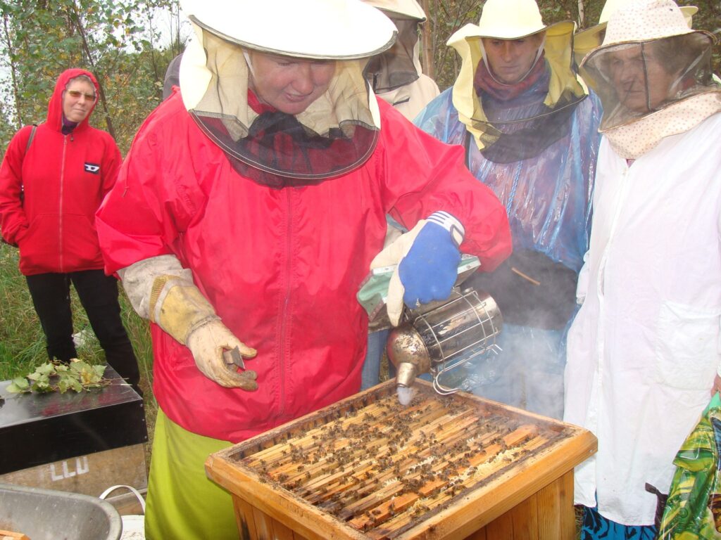 Biškopības konsultante Santa Biļinska (priekšplānā) izklāstītās teorijas pielietojumu dravniekiem parādīja praktiskajās nodarbībās savā dravā. 
Autors: No personīgā arhīva
