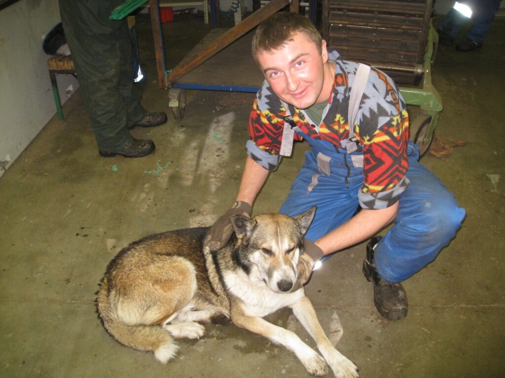  Launkalnes pagastā, uzņēmuma “Graanul Invest” teritorijā, mīt pieklīdis suns. Mehāniķis Jānis Gredzens cer, ka atsauksies viņa saimnieks. 
Autors: No personīgā arhīva