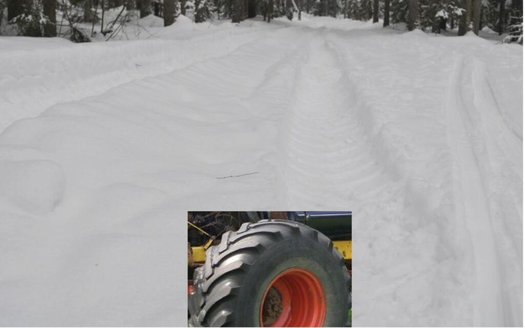 Visurgājējs nav nodarījis postu vienīgi Saltupu ceļa malā iebrauktajām slēpju sliedēm, bet dziļā mežā tās ir izpostītas.
Autors: Sandra Pētersone