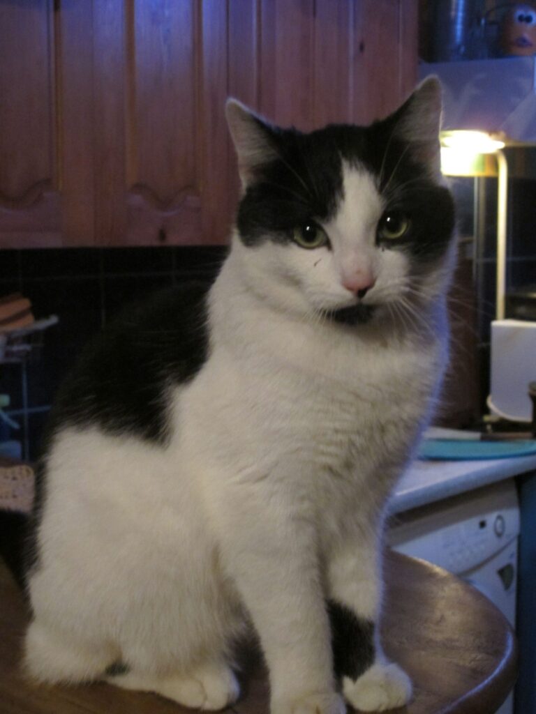 Autors: Inga Karpova