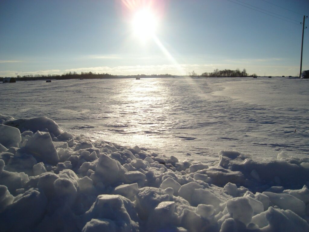 Autors: Sarmīte Ozola