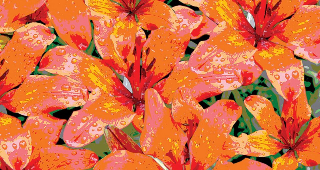 Autors: Aldis Dubļāns