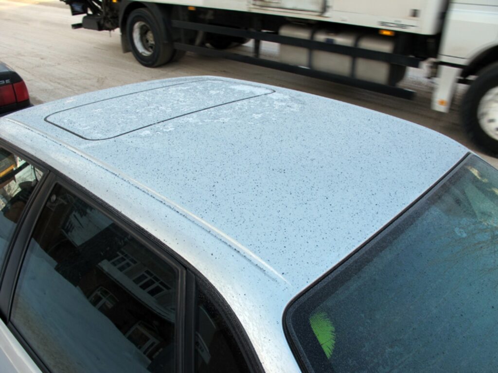 Sodrēji nosēžas uz sniega, automašīnu virsējās daļas un ziemā tos grūti notīrīt.
Autors: Aldis Dubļāns