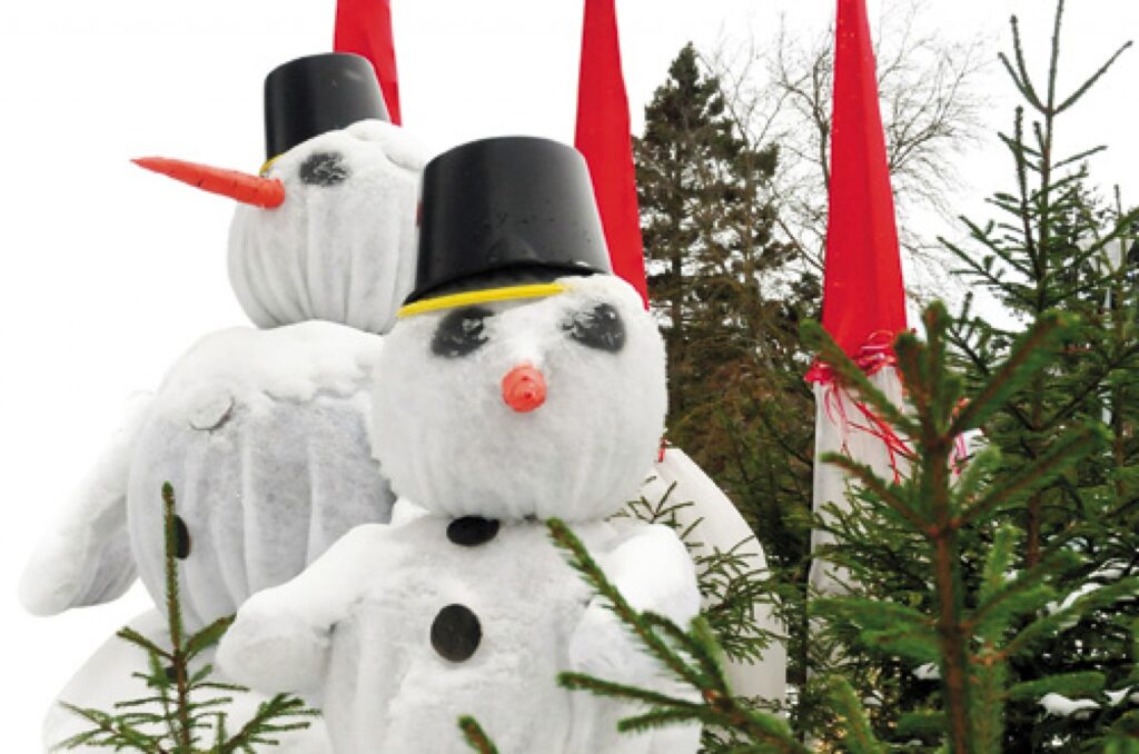 Autors: Dainis Ģelzis