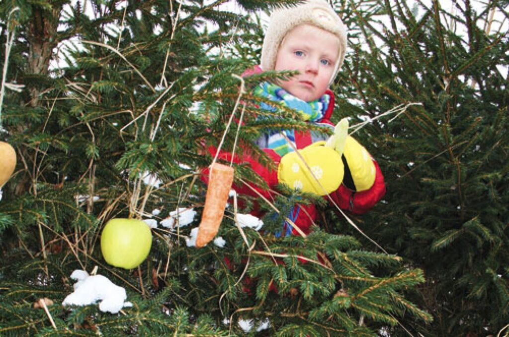 Autors: Dace Diržine