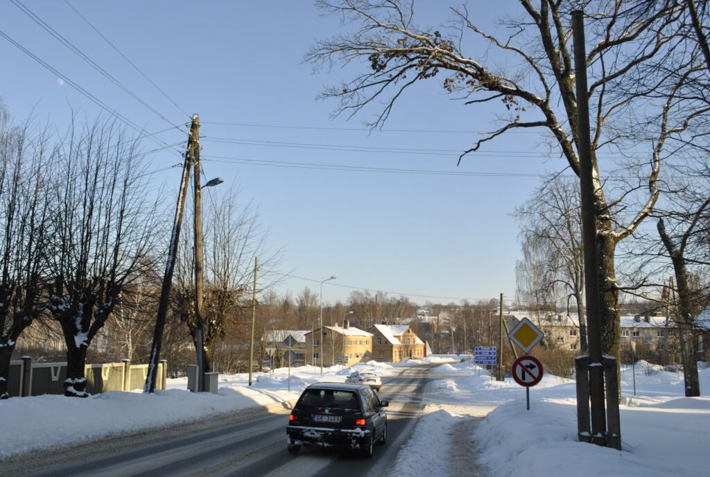  Lielo zaru, kas pārliecies pār Daugavas ielu, autovadītājs Mareks Grundejs  ievērojis nejauši un nošausminājies, - kas notiktu, ja tas lūztu un uzkristu kādam virsū.
Autors: Sandra Pētersone