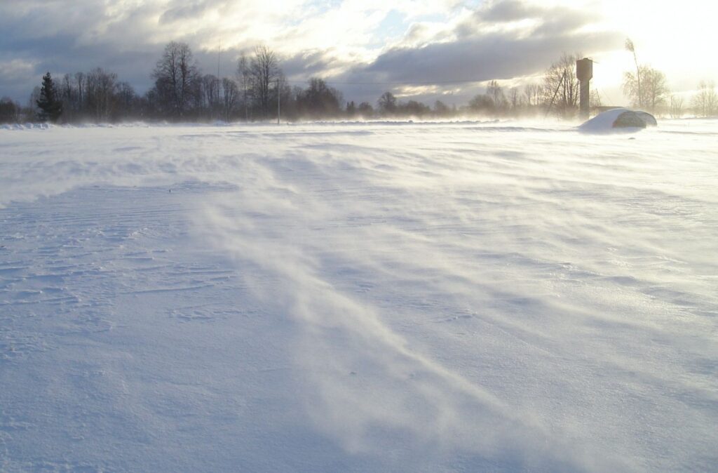 Autors: Sarmīte Ozola