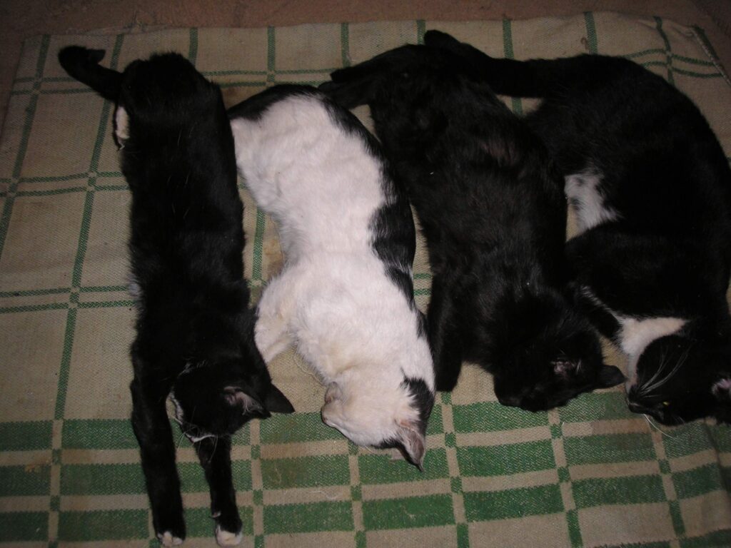 Autors: No personīgā arhīva