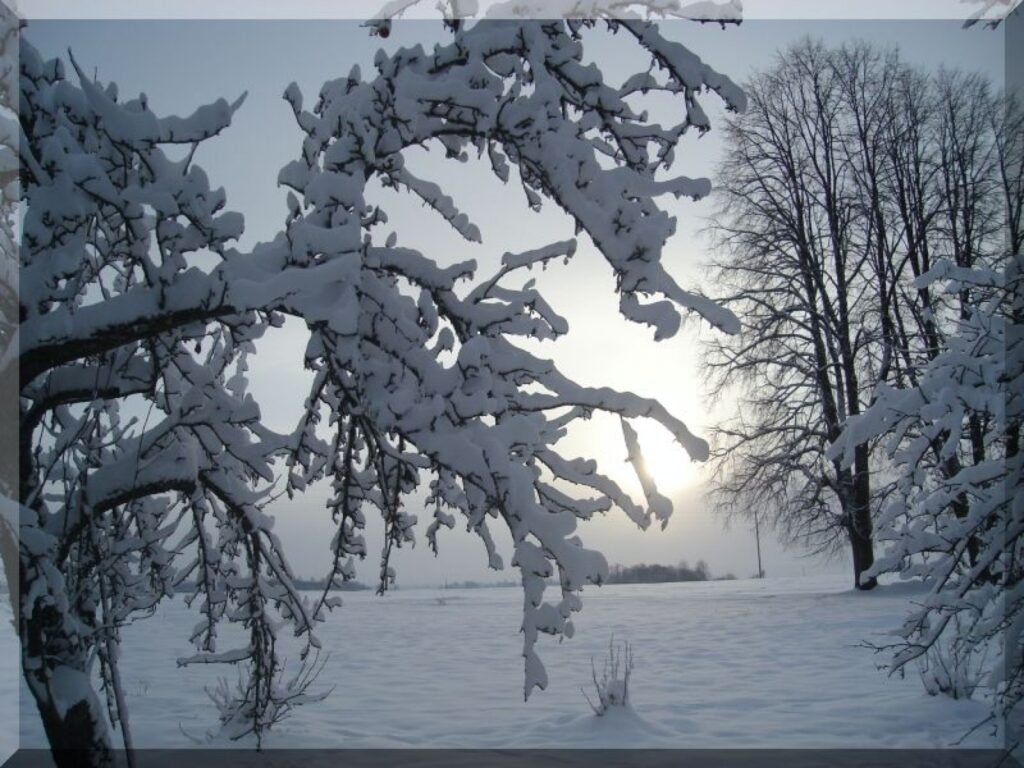 Autors: Sarmīte Ozola