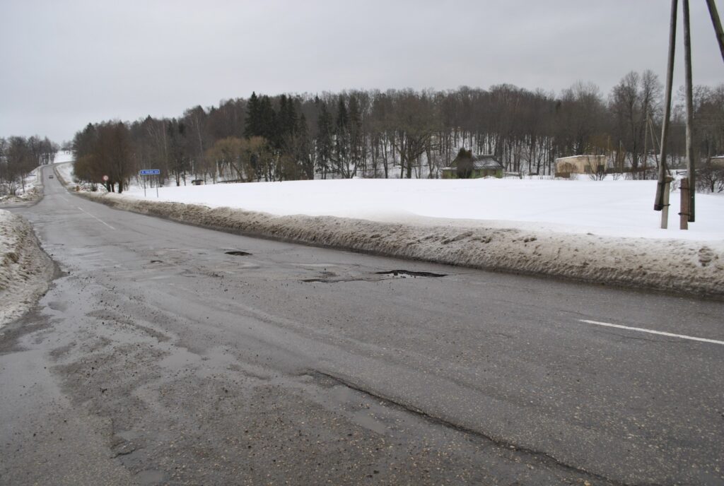 Autors: Sarmīte Ozola