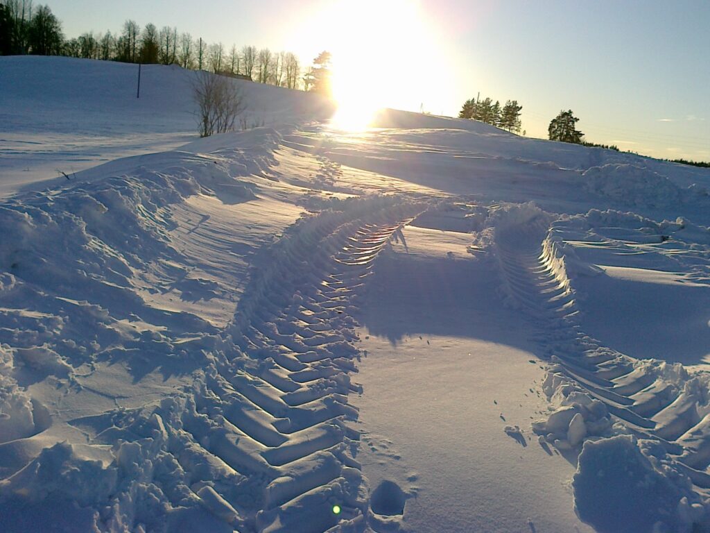 Autors: S. Siliņa