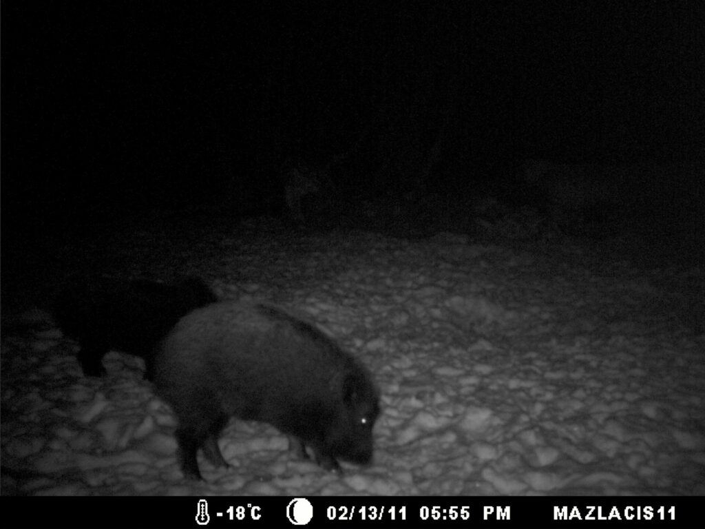 Autors: Māris Jurjāns