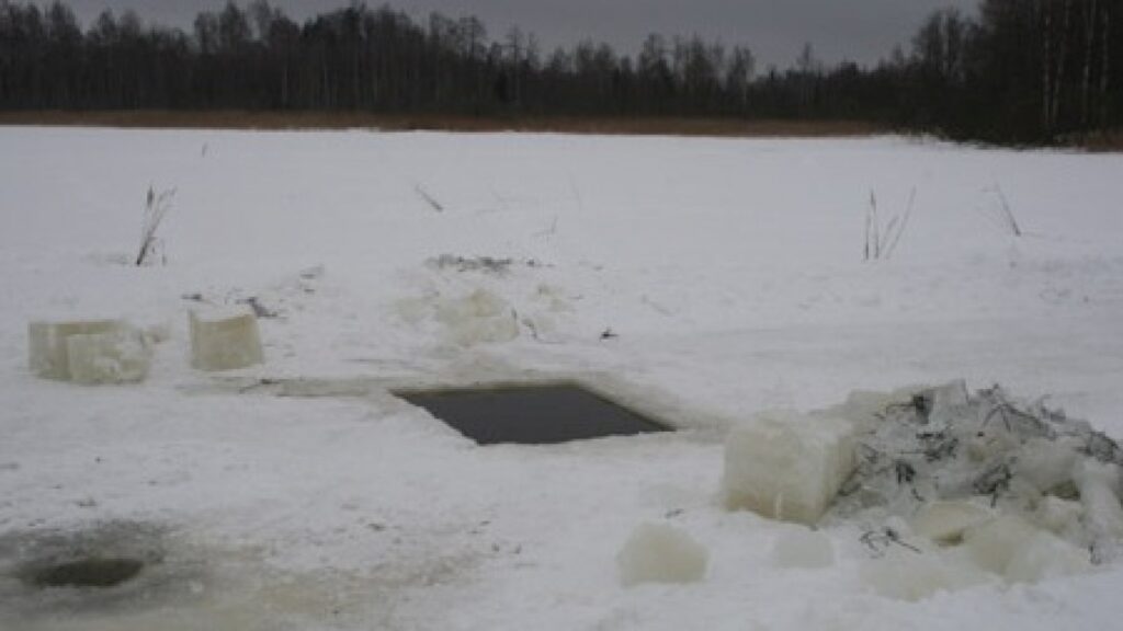 Āļiņģi Bižas ezerā, Rāznas NP 
Autors: Rolands Kalvis 