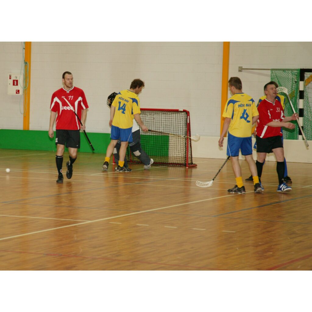 Autors: Aldis Dubļāns