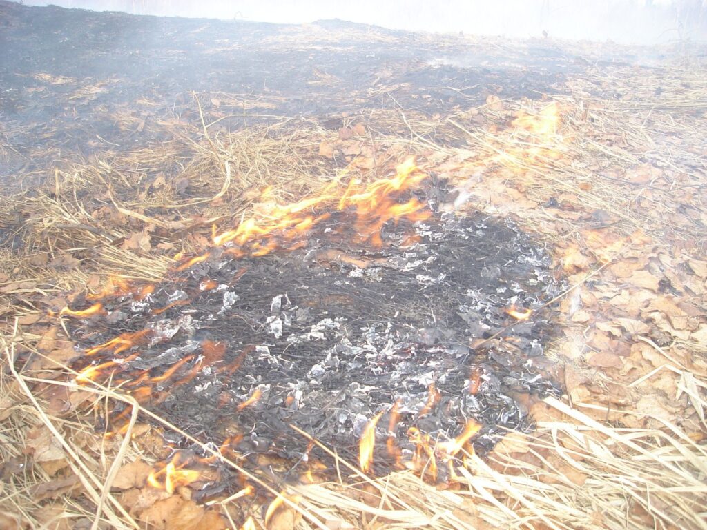 Autors: Sarmīte Ozola