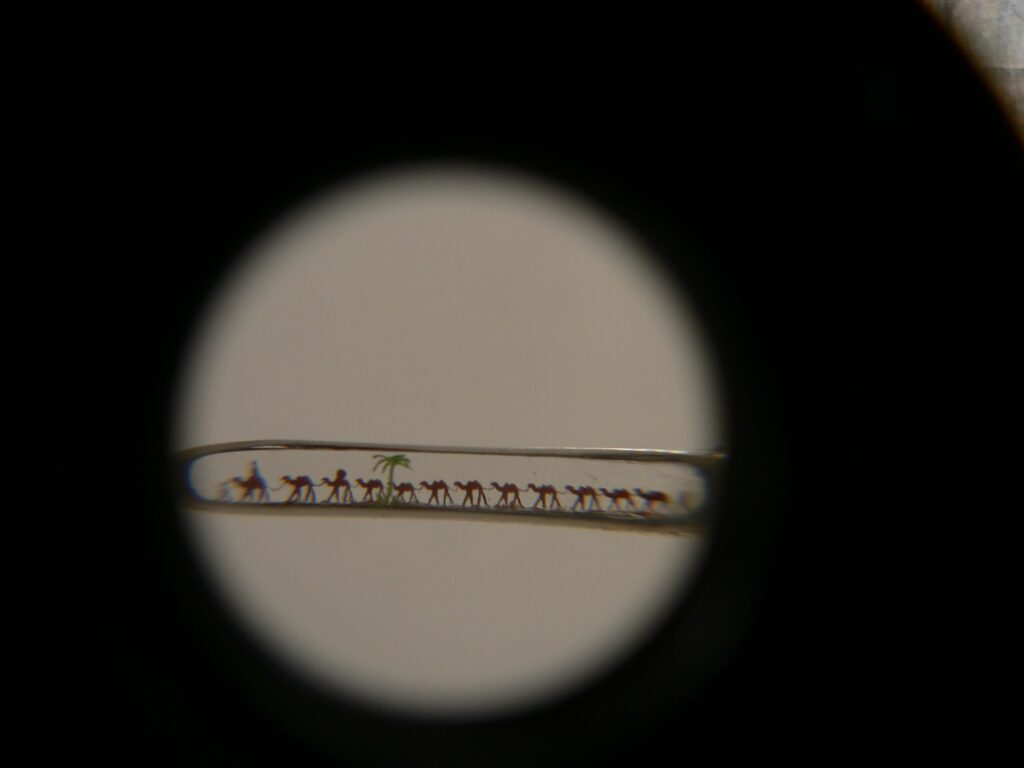 Autors: publicitātes foto