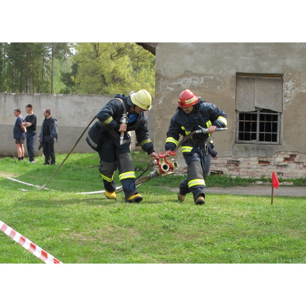 Autors: Aldis Dubļāns