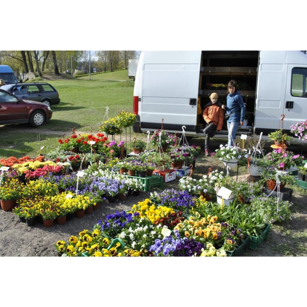 Autors: Sandra Pētersone