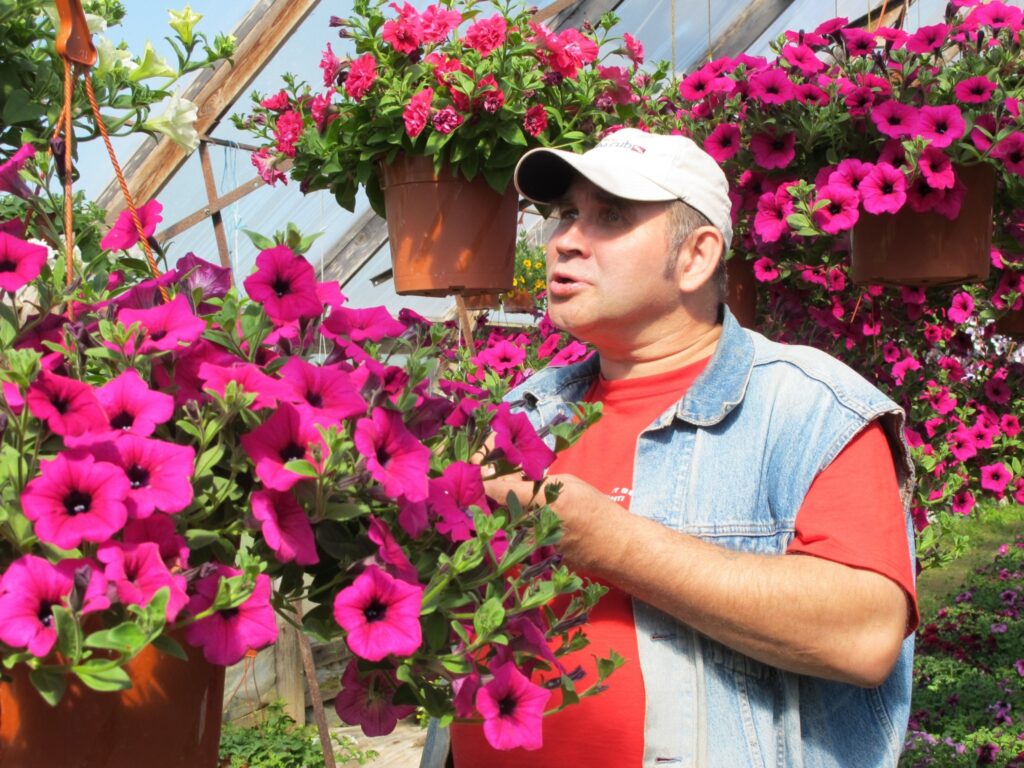 Ando Krūze sezonas sākumā bija nobažījies par puķu mazo pieprasījumu, taču viss ir kārtībā – īsts latvietis savu mitekli izdaiļos vienmēr.
Autors: Aldis Dubļāns