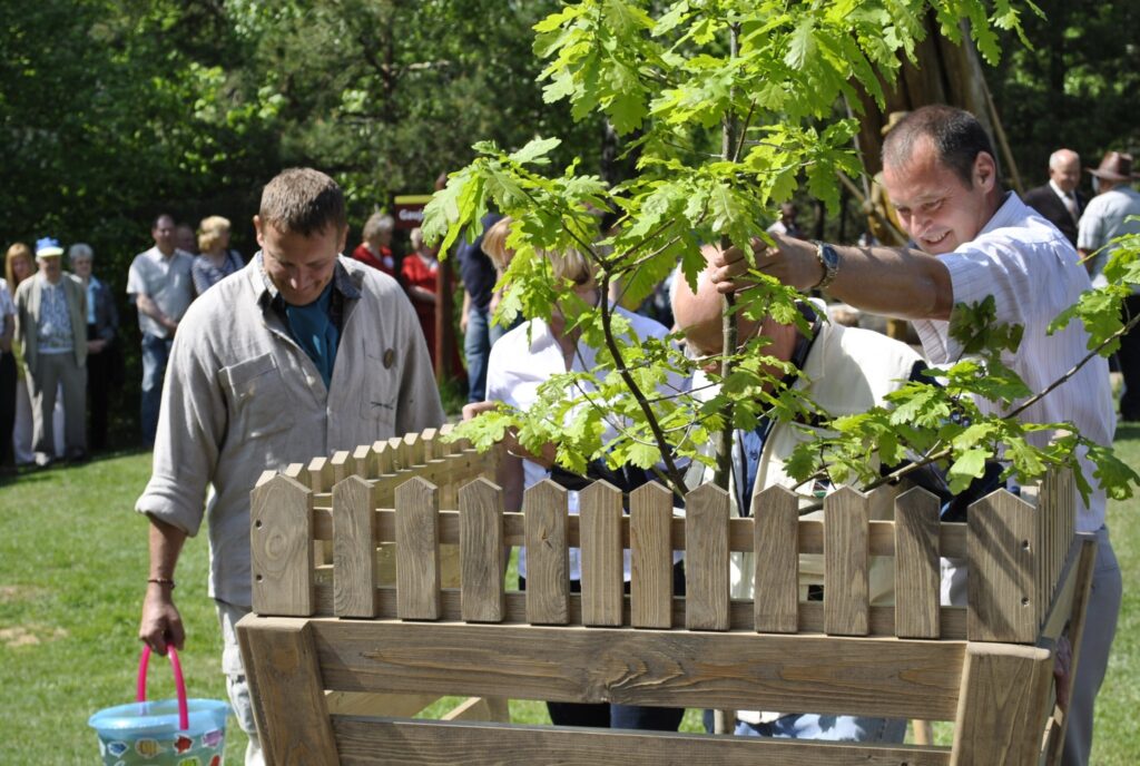 Vētras nolauztā  Vecā ozola vietā Gaujmalā tagad aug un zaļo jauns koks. Plostnieku svētkos ozoliņu iestādīja Strenču novada domes priekšsēdētājs Jānis Pētersons (no labās), strencēnieši Aivars Biernis un Laima Zvejniece, un Plostnieku svētku tradīcijas aizsācējs Mārtiņš Gaigals. 
Autors: Sandra Pētersone