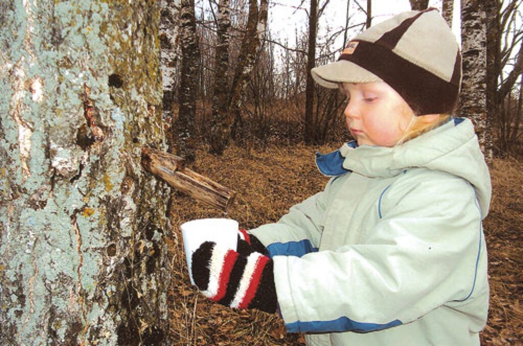 Autors: Dace Diržine
