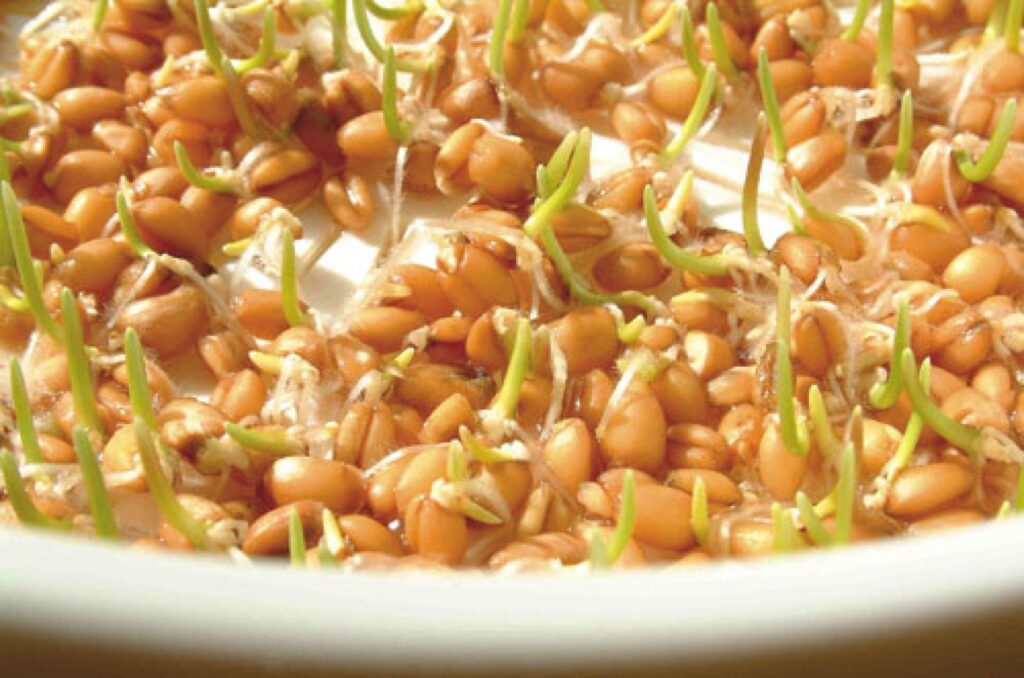 Autors: shirleyuk.wordpress.com