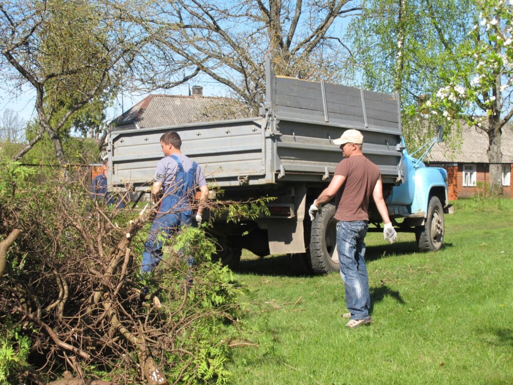 80 gadu vecās un savu laiku nokalpojušās tūjas ir nozāģētas, lai dotu vietu jauniem kociņiem.
Autors: Aldis Dubļāns