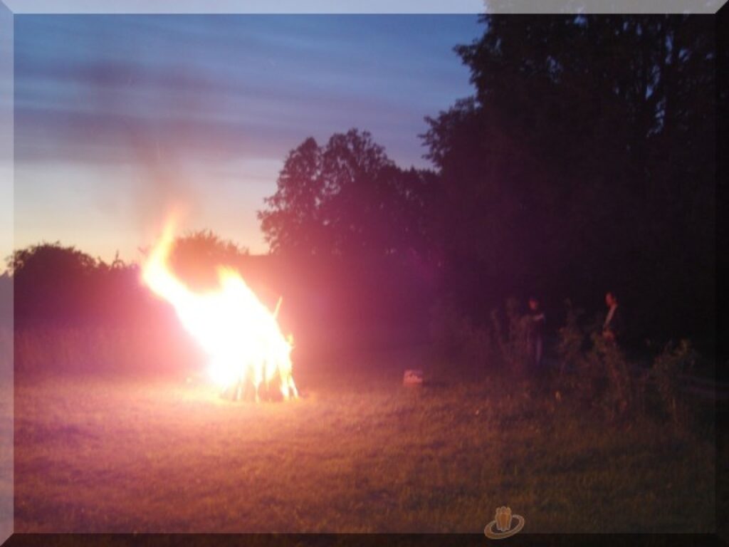 Autors: Sarmīte Ozola